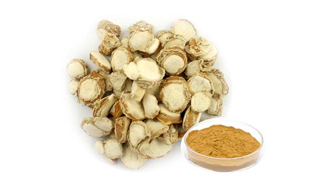 BỘT ĐỊA LIỀN