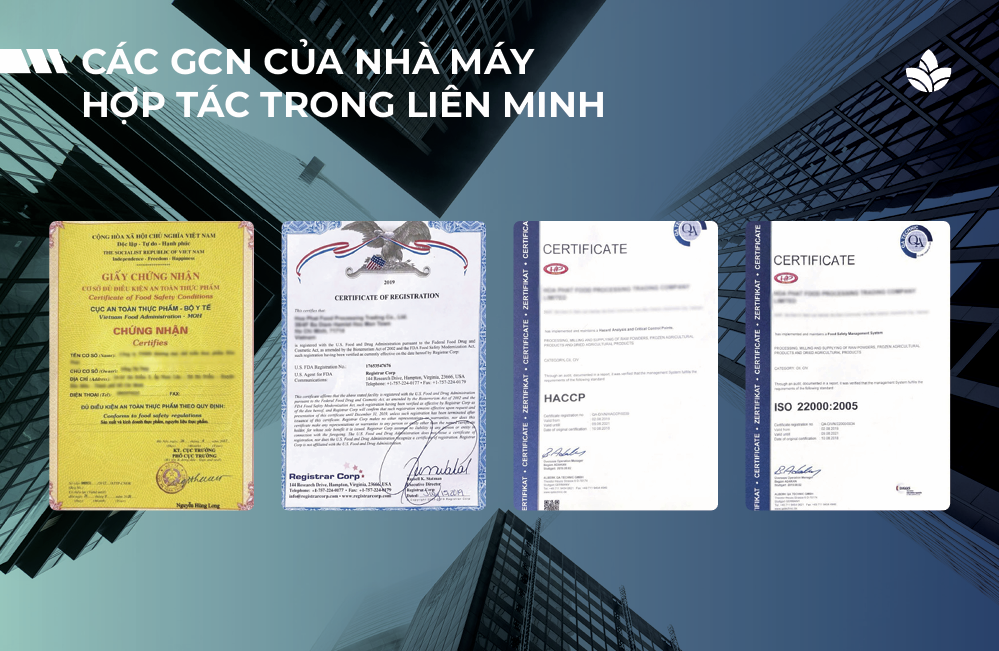 giấy chứng nhận MDC đạt được