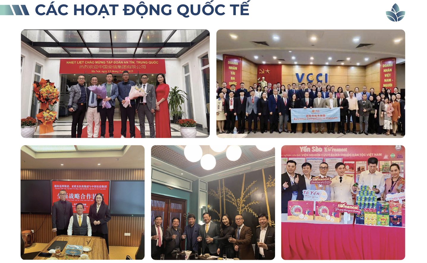 Các hoạt động quốc tế MDC 